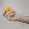 VIRSUS 500 Clear Disposable Polyethylene Gloves. Universal Disposable Food Cleaning