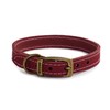 Ancol Timberwolf Premium Leather Dog Collar - Comfortable Durable Pet