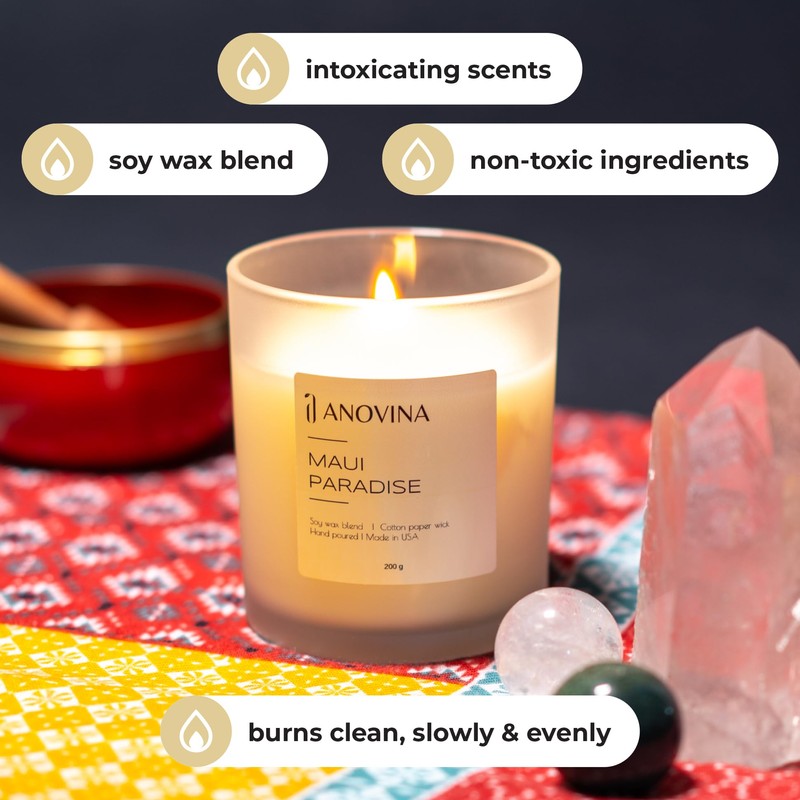 Anovina Scented Soy Candles - 8 Ounces (Maui Paradise)