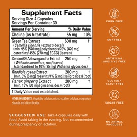 BRAINMD Dr Amen Focus & Energy - 120 Capsules - Mental Endurance Booster, Promotes Concentration & Attention - Caffeine Free, Gluten Free - 30 Servings