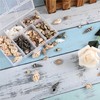 MQWDGJ Shells, 100 Pieces 1-3 cm Shells Decoration, Shells for