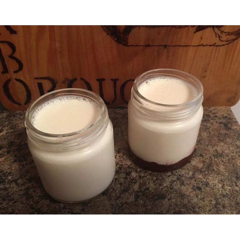 Homemade Yogurt Starter Culture Kit
