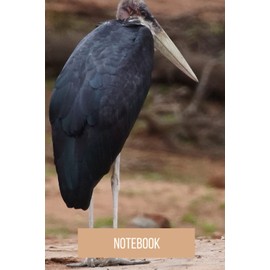 Bergamot Notebook: blank lined composition journal | Bergamot notebook | 100 pages