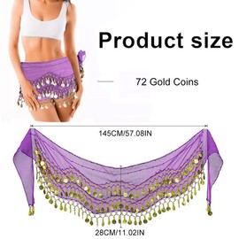 Chiffon Hip Scarf, Women's Belly Dancer Costume, Dance Cloth with Coins for Belly Dance, Women's Belly Dance Belt, Black Belly Dance Hip Scarf, for Girls Women for Performance Costume, Belly Dance