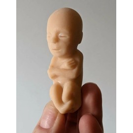 1 soft rubber model fetus, unusual medical fetal doll, abortion