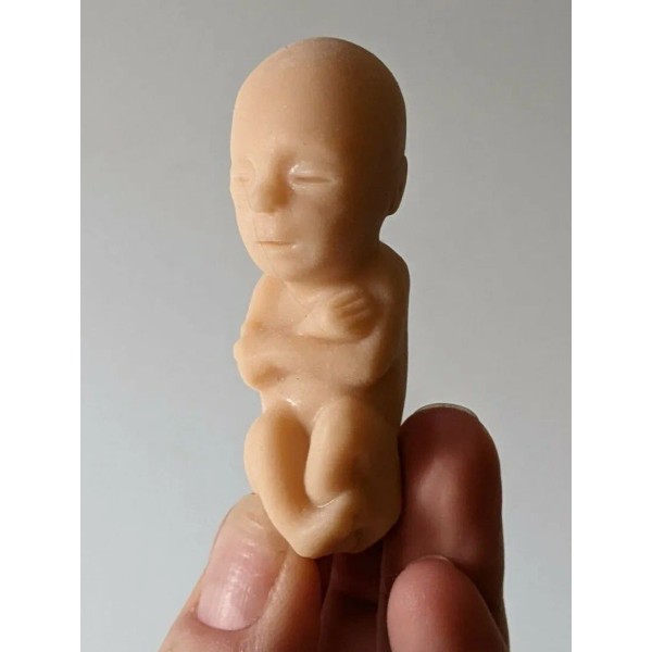 1 soft rubber model fetus, unusual medical fetal doll, abortion