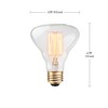 Globe Electric 84654 Designer 40W Labo Vintage Bulb