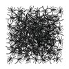 Fun Express - Plastic Spiders for Halloween - Toys -