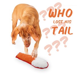 Pet Toy, Dog Toy, Simulated Animal Tail, Sounding Toy, Chewing Toy, Pet Toy, Stress Relief and Relief, Suitable for Puppies and Medium Dogs, Washable (Foxtail)