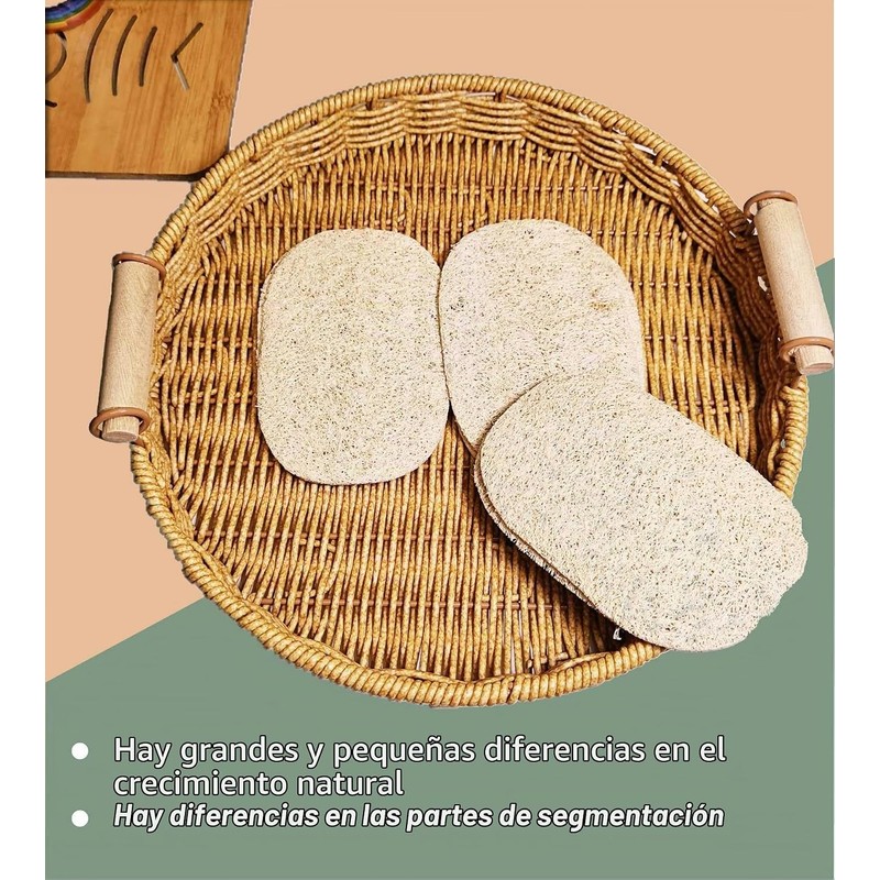 Esponjas naturales de lufa WOCATS WMFQ06 paquete de 6 para