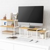 Goozii Kitchen Cabinet Organizer Shelf Set of 4, Large Stackable