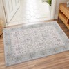 Vanmoos 2x3 Washable Area Rug – Soft, Non-Slip Entrance Rug,