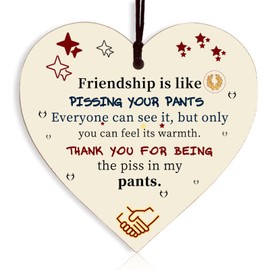 Best Friend Gift for Women Friendship Gift Birthday Girlfriend Wooden Hanging Heart Plaque Cute Funny Inspirational Quote Special Friends Gifts for Women