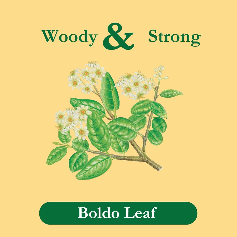 Tadin Boldo Tea, Herbal Tea, Caffeine Free, 24 Tea Bags