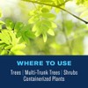 BioAdvanced 12 Month Tree and Shrub Protect and Feed, Granules,