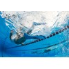SEAC Unisex Seac Team Short Fins for Swimming and Snorkeling