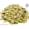 Organic Uva Ursi Leaf Pure Herbal Infusion (25 Unbleached Tea