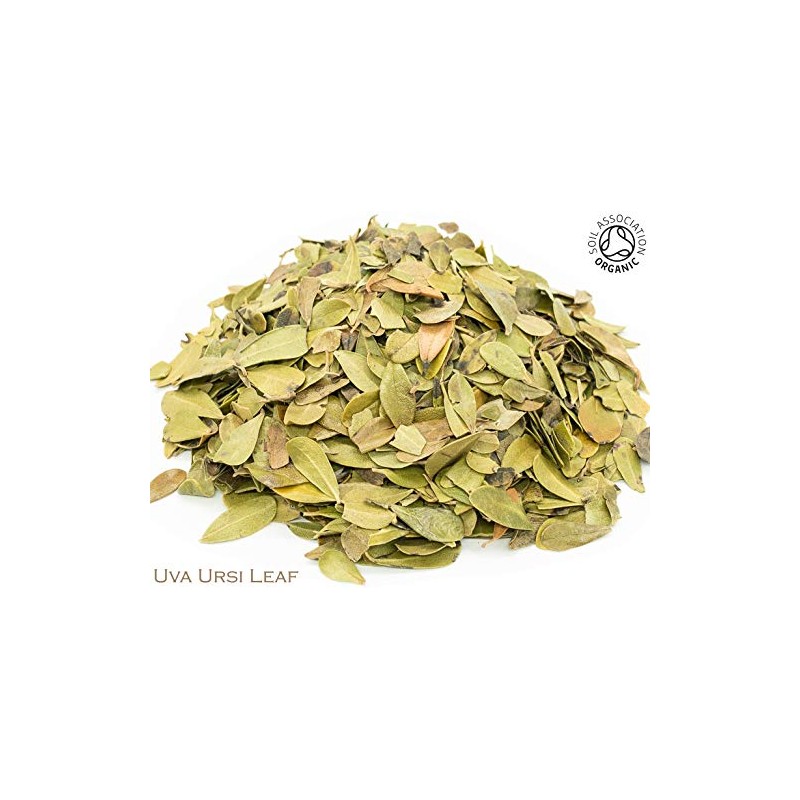 Organic Uva Ursi Leaf Pure Herbal Infusion (25 Unbleached Tea