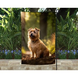 Norfolk Terrier Garden Flag, Garden Flag, Norfolk Terrier Lover Gift, Dog Flag