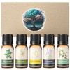 Calmer Solutions 5 Pack Essential Oils Gift Set - Aromatherapy