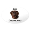 CafePress Got Chocolate Oval Car Bumper Sticker