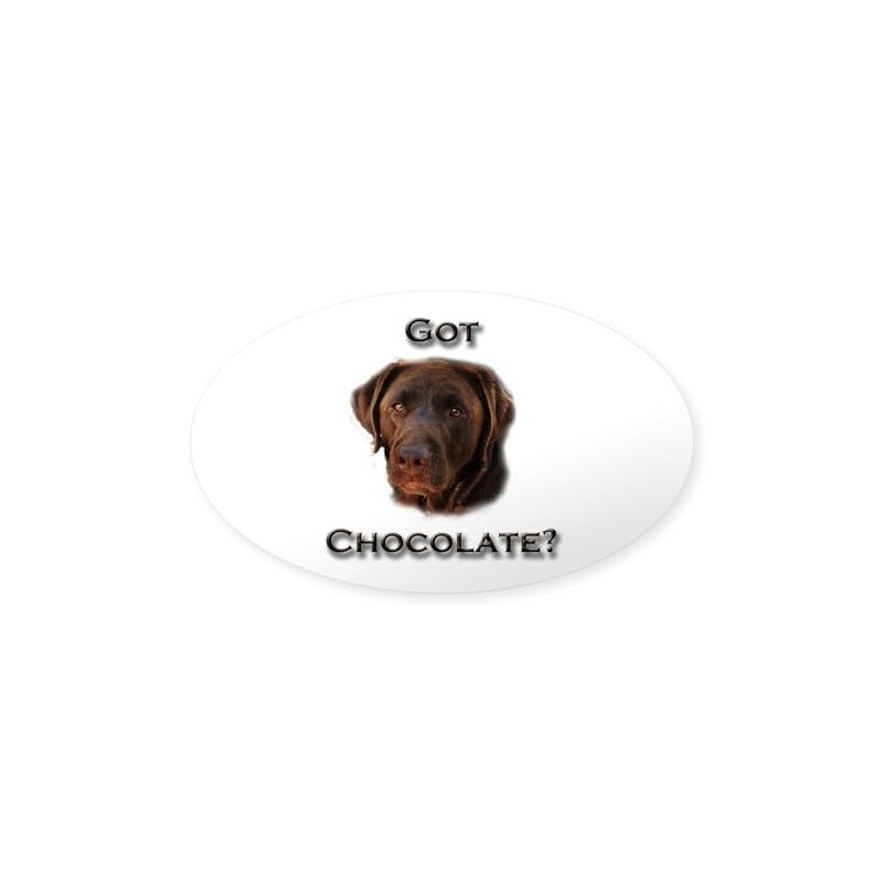 CafePress Got Chocolate Oval Car Bumper Sticker