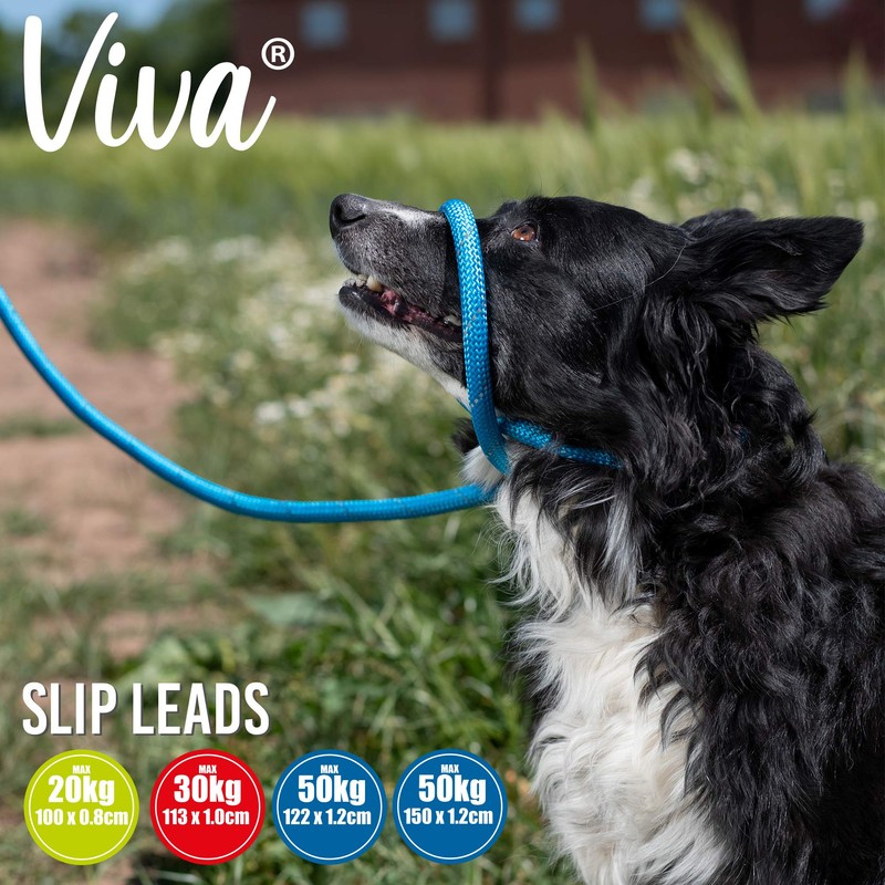 Ancol Viva Reflective Rope and Real Leather Slip Lead, 150