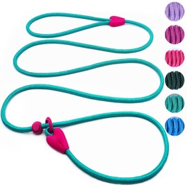 Slip Lead No Pull Dog Leash Slip Leads for Dogs Puppy Leash 6FT Slip Leash for Dogs Dog Lead with 6 Colors Strong Nylon Dog Training Leash Dog Leash (Green)