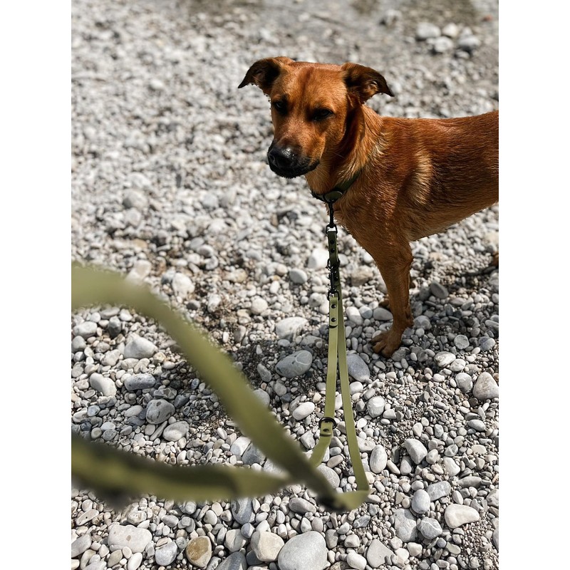 Sniffls Premium Dog Lead for Small and Medium Dogs Lightweight