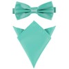 Ladeheid Men's Slim Bow Tie & Pocket Square Set M/P