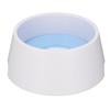 Pet Slow Water Feeder Splash Proof Prevent Slip Raised Water
