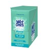 Wet Ones Sensitive Skin Wipes | Unscented Face & Hand