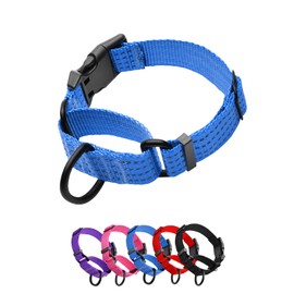 JOOCPUP Martingale Collar for Training Dogs. Adjustable Reflective Dog Collars with Buckle- NO Pull-Prevents Slipping Out, for Medium Large XL Dogs. Helps with Strong pullers (Blue, S)