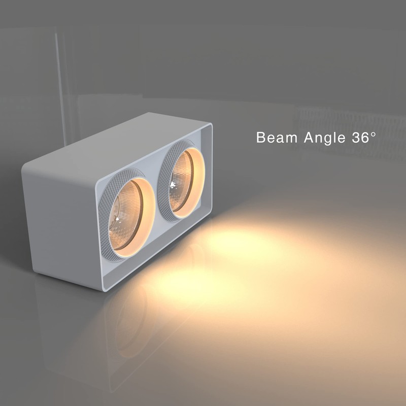 FOOC LED Surface Mounted Light Flat with Large Light Surface