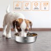 2-in-1 Metal Dog Bowl with Slow Feeder Insert, Stainless Steel