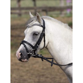 BUSSE Little Bridle