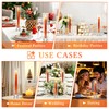 24 Set Hurricane Glass Candle Holders Bulk, Windproof Glass Covers