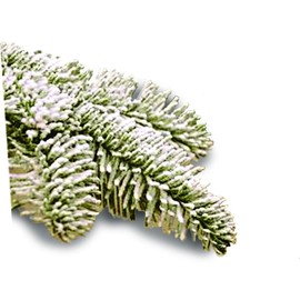 Peak Seasons 11101 25 Lbs White Sno-Bond Flock