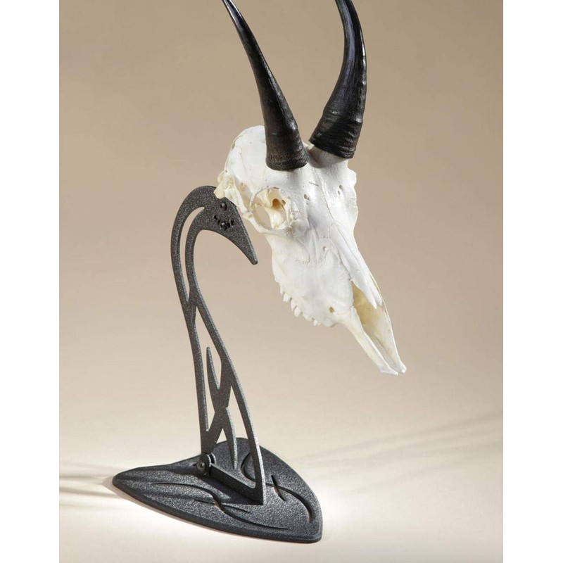Skull Hooker Table Hooker European Trophy Mount – Perfect Kit