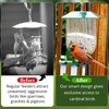 Unique Cardinal Bird Feeder for Outdoors - Designed for Cardinals