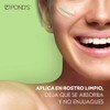 Gel Hidratante Facial Ponds Fruity Hydra Fresh Aloe 110 g