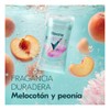 Rexona Invisible Balm Melocotón Peonia 41g