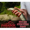 Paradox Fishing Pear Lead Sets 5 x 30 g I