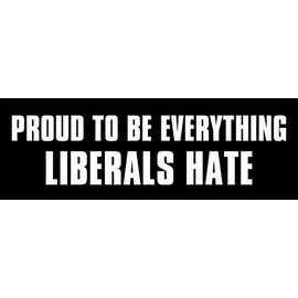 Magnet 3x9 inch Proud to Be Everything Liberals Hate Bumper Sticker -Trump Conservative Magnetic Magnet Vinyl Sticker