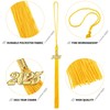 Boao 18 Pieces 2024 Graduation Tassel Academic Hat Tassels with