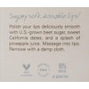 FarmHouse Fresh Beach Punch Lip Polish, Pineapple,1 Count (Pack of