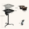 Dollate Salon Tray on Wheels with 2 Magnetic Hair Color