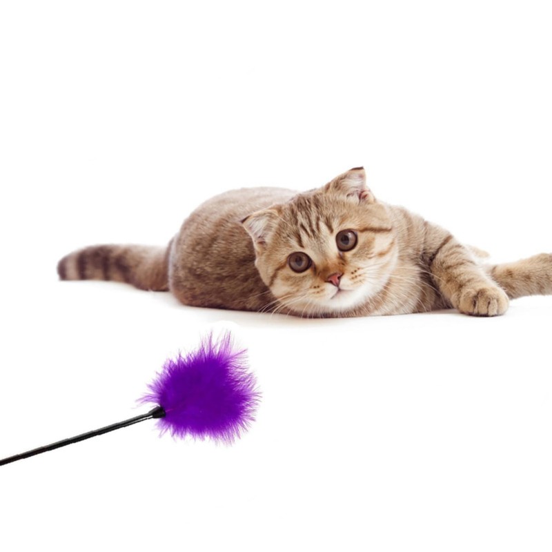 Dzrige Interactive Cat Toys Teaser Wand Black Long Sticks with