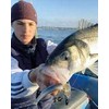 FIIISH Black Minnow 140-2 Jig heads Shore - 20g -