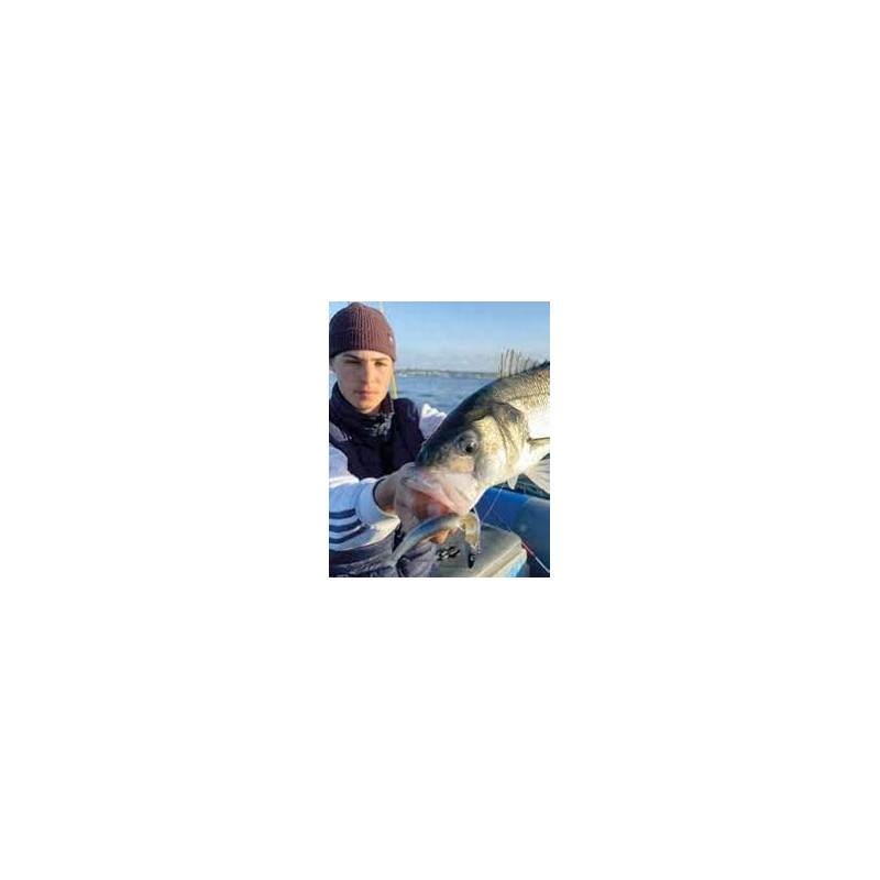 FIIISH Black Minnow 140-2 Jig heads Shore - 20g -